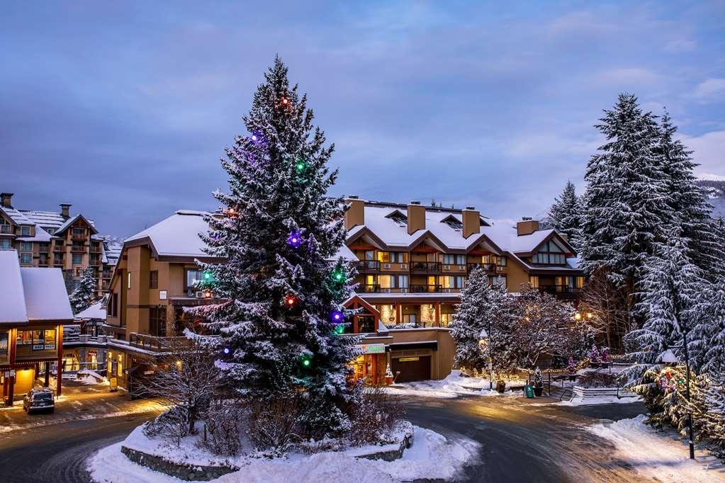 Village Inn&suites 3*